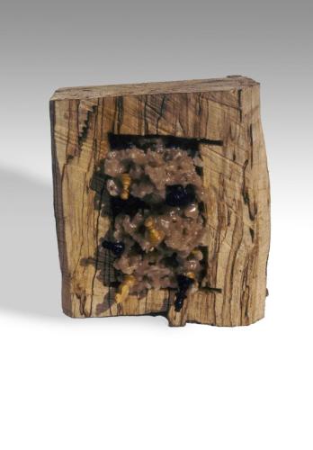 'Decision' Steve Cockrill 1988