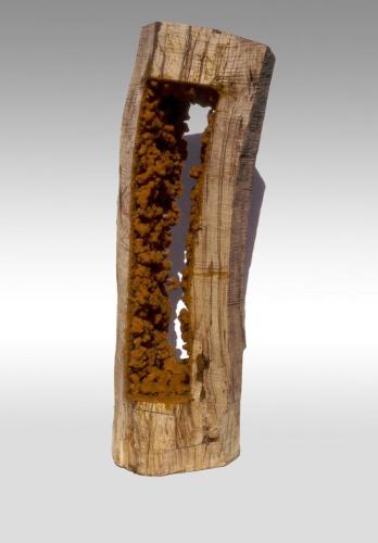 'Untitled' Steve Cockrill 1988