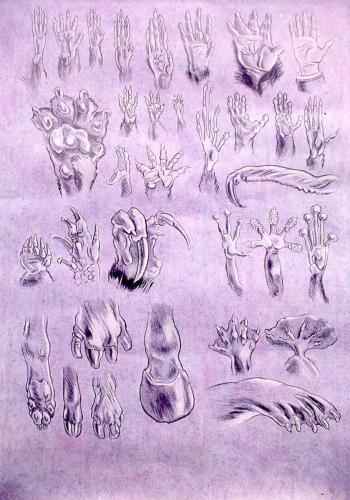 'Hand' Steve Cockrill 1987